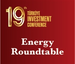 19th TRICON Energy Roundtable